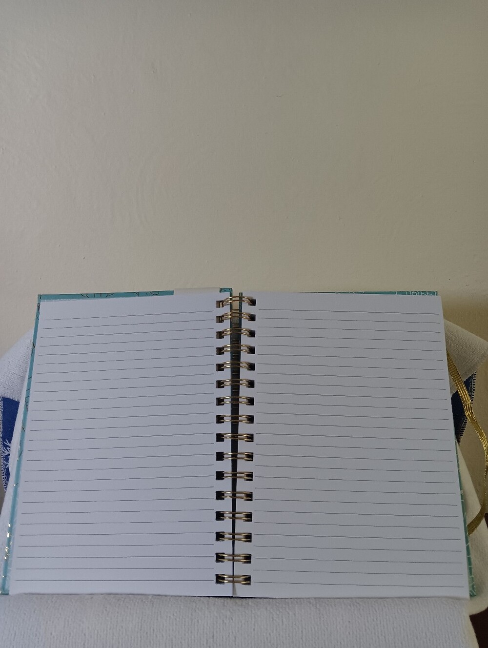 Seashells Journal - Picture 4 of 7